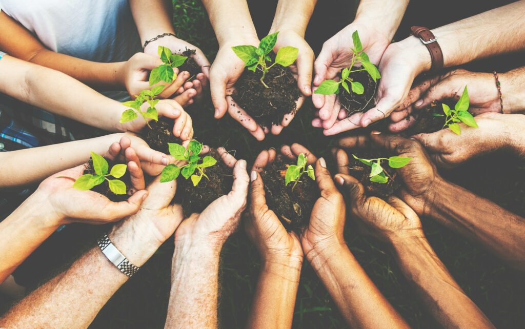 CSR-проекты (Corporate Social Responsibility)